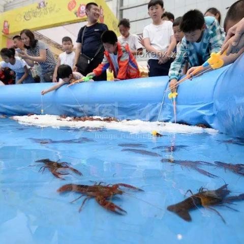 🚀原著与游戏双重盛宴：各自精彩的《无敌号》之旅